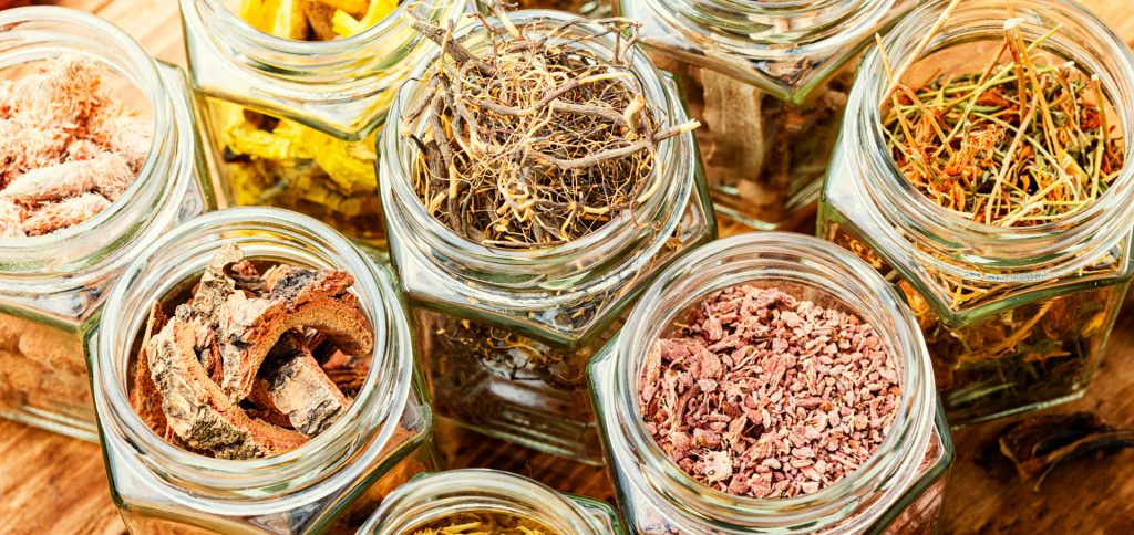 ¿Por qué es importante el estudio de la medicina natural?